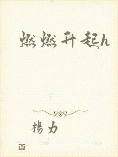 燃燃升起h