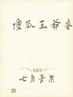 傻瓜王爷睿智妃