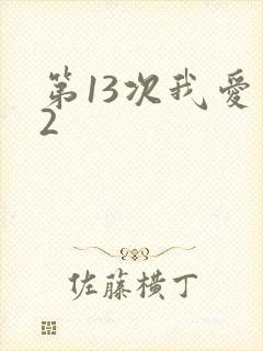 第13次我爱你2