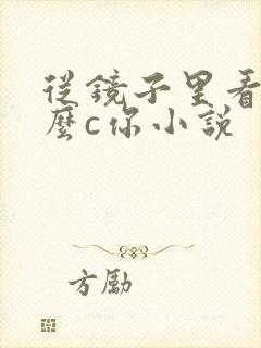 从镜子里看我怎么c你小说