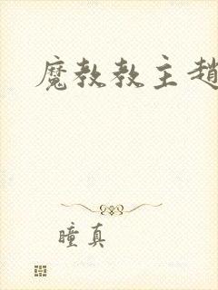 魔教教主赵小猫