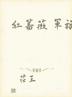 红蔷薇 军旅文