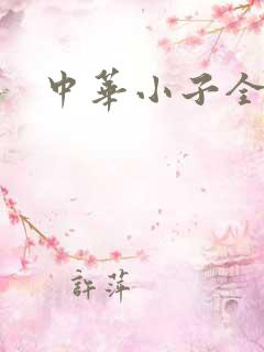 中华小子全集