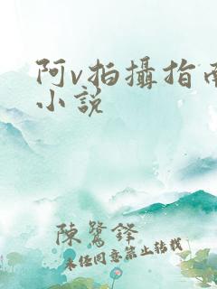 阿v拍摄指南说小说