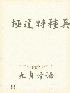 极道特种兵