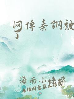 网传秦钢被打死了