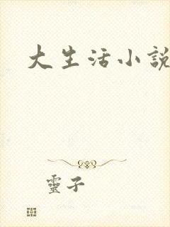 大生活小说