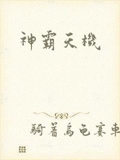 神霸天机
