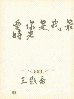 爱你是我最好的时光