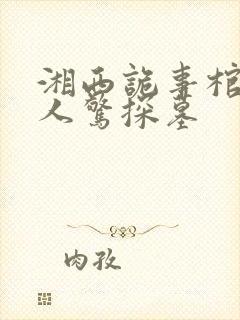 湘西诡事棺山道人惊探墓