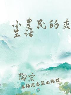 小农民的爽歪歪生活