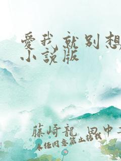 爱我就别想太多小说版