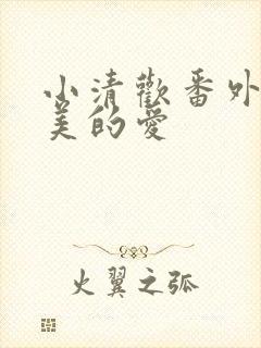 小清欢番外篇完美的爱