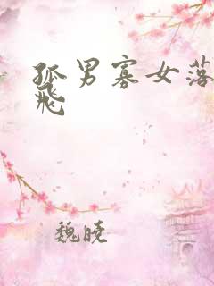 孤男寡女落瑛纷飞