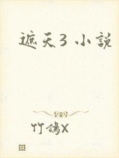 遮天3 小说