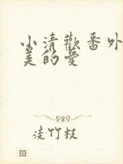 小清欢番外篇完美的爱