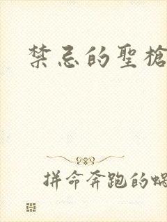 禁忌的圣枪