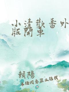 小清欢番外完整版开车