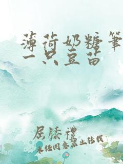 薄荷奶糖笔趣阁一只豆苗