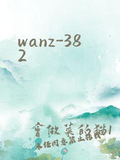 wanz-382