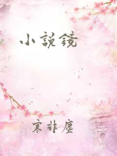 小说镜