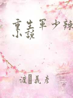 重生军少辣娇妻小说