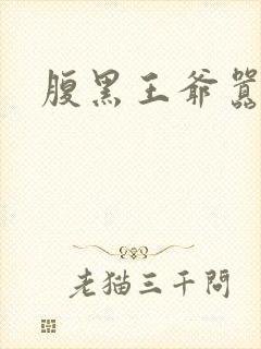 腹黑王爷嚣张妻