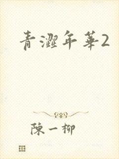 青涩年华2