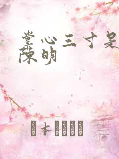 掌心三寸是人间陈明