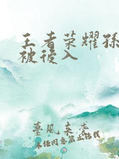 王者荣耀孙尚香被后入