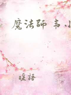 魔法师 韦小宝