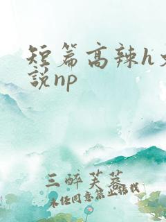 短篇高辣h文小说np