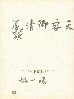 凤清卿容天凌小说