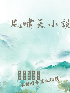 风啸天小说