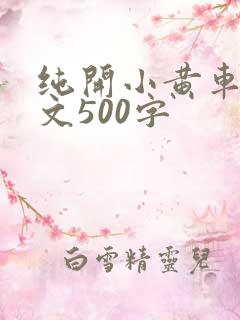 纯开小黄车小短文500字
