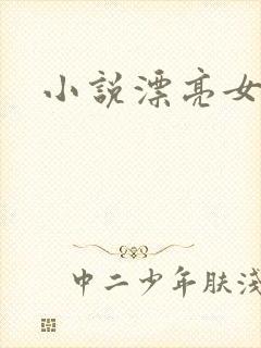 小说漂亮女局长