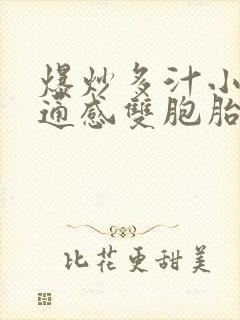 爆炒多汁小美人通感双胞胎