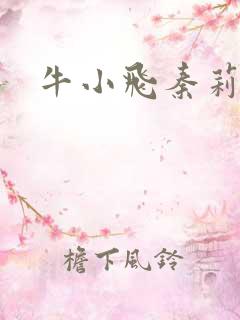 牛小飞秦莉莉