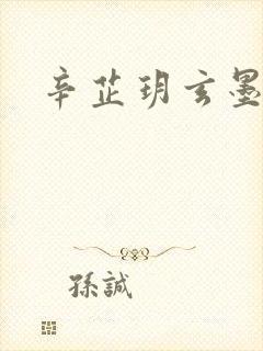 辛芷玥玄墨小说