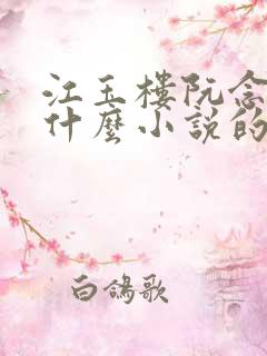 江玉楼阮念笙是什么小说的名字