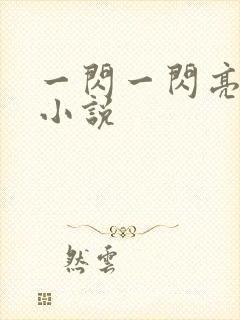 一闪一闪亮晶晶小说