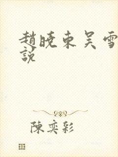 赵晓东吴雪晴小说