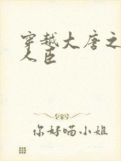 穿越大唐之位极人臣