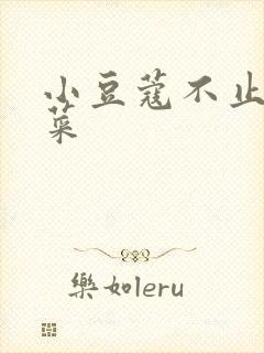 小豆蔻不止是颗菜