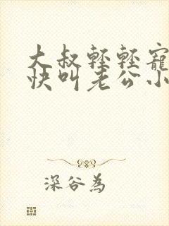 大叔轻轻宠宝贝快叫老公小说