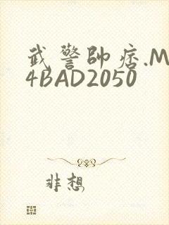 武警帅痞.MP4BAD2050