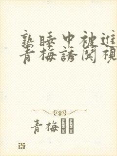 熟睡中被进了H青梅诱哄视频