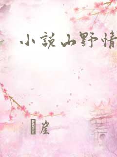 小说山野情债