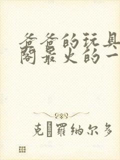 爸爸的玩具笔趣阁最火的一句