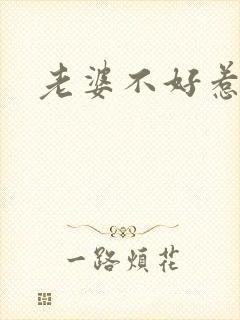 老婆不好惹
